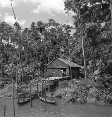Série "Estrada de Ferro Tocantins"