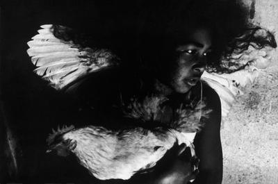 Série Jorge Amado - Gabriela, menina com galo