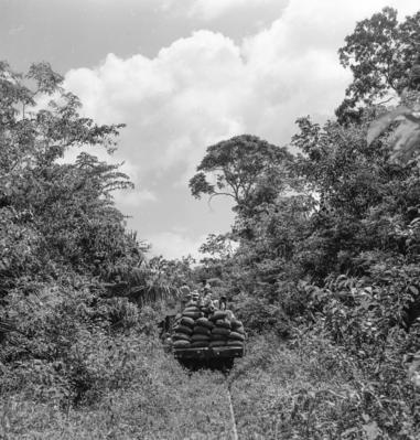 Série "Estrada de Ferro Tocantins"
