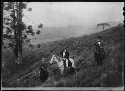 Jaguaribe Ekman - reprodução