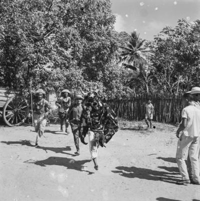 Bumba meu boi, festa popular