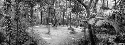 Parque Alfredo Volpi