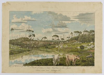 Estudo de água calma. Reflexo dos objetos em água tranquila