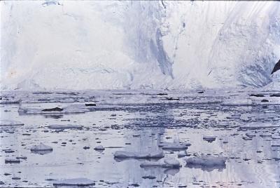 Aventuras de Igor na Antártida