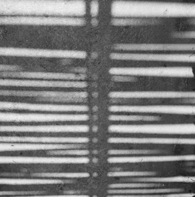 Sítio Burle Marx - sombra