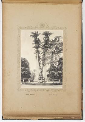 Aleia Barbosa Rodrigues