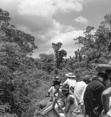 Série "Estrada de Ferro Tocantins"