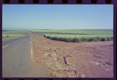 Produção de filme institucional sobre usinas de açúcar