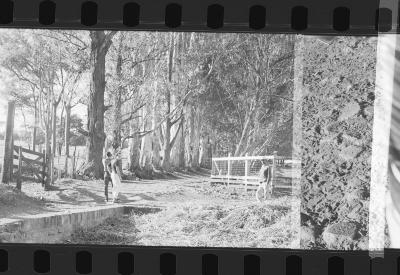 Em busca de fazendas para locacações do filme Os Herdeiros, de Cacá Diegues