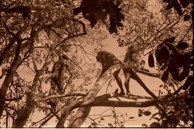 Homem do povo Juruna