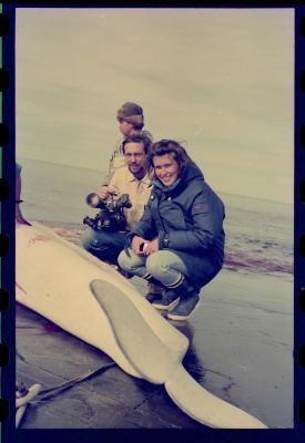 Viagem com a bióloga Livia Monami para registrar a caça da baleia branca