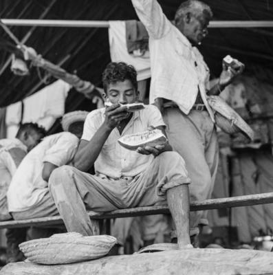 Rancho de trabalhadores - Ilha de Marajó