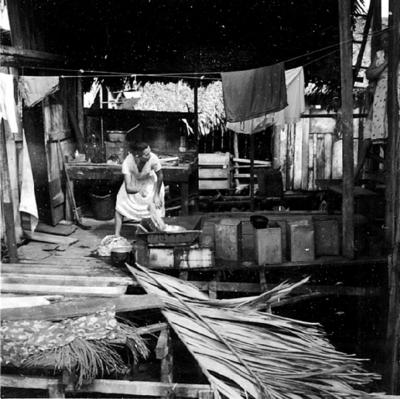 Vila da Barca, palafitas flutuantes, lavadeira