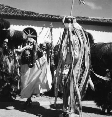 Bumba meu boi, festa popular