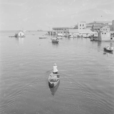 Palafitas flutuantes