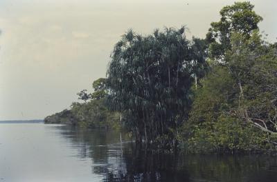 Expedição Pico da Neblina