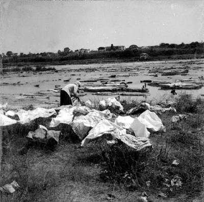 Lavadeiras no Rio São Francisco