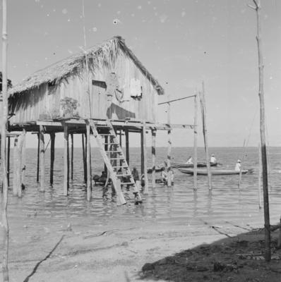 Palafitas flutuantes