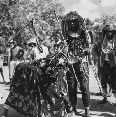 Bumba meu boi, festa popular