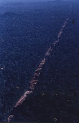 Vista aérea de estrada em meio à floresta