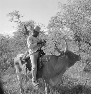 Vaqueiro - Ilha Mexiana