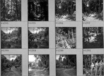 Expedição do SPI que estabeleceu os primeiros contatos com o povo Asuriní do Tocantins