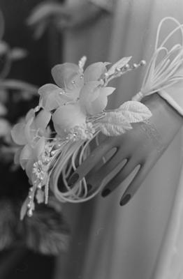 Rua São Caetano, a rua das noivas