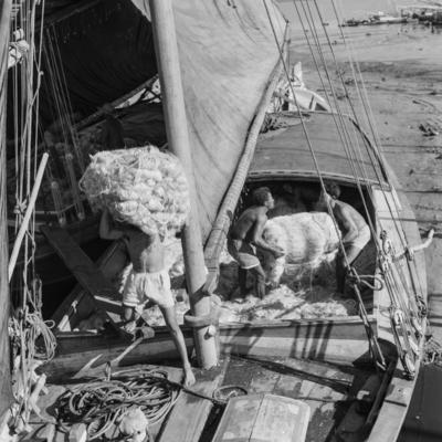 Homens descarregando juta