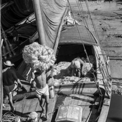 Homens descarregando juta