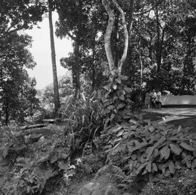 Residência de Homero de Souza e Silva, projeto do arquiteto Carlos Leão com projeto paisagístico de Burle Marx
