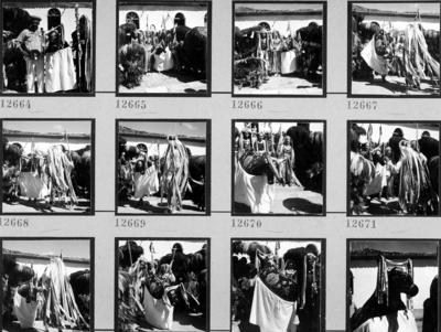 Bumba meu boi, festa popular