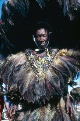 Série Bumba-meu-boi - Festa de São João