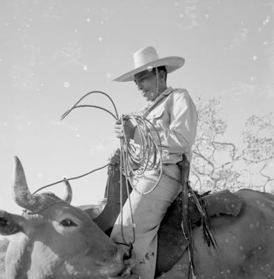 Vaqueiro - Ilha Mexiana