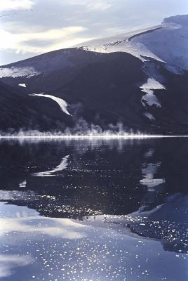 Aventuras de Igor na Antártida