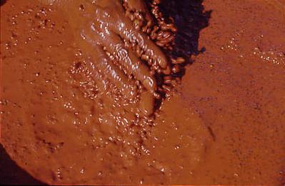 Série Xingu - Homem do povo Mehinako prepara a pasta de urucum