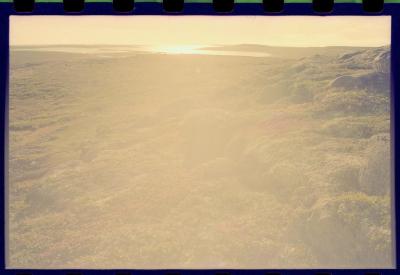 Viagem com a bióloga Livia Monami para registrar a caça da baleia branca