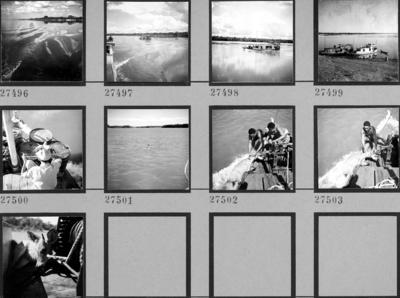 Embarcações e resgate de animal