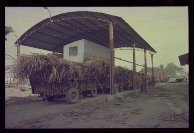 Produção de filme institucional sobre usinas de açúcar