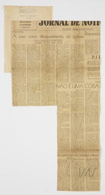 A crise como desajustamento da cultura