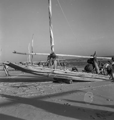 Jangadas e jangadeiros