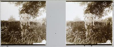 Estereoscopia erótica