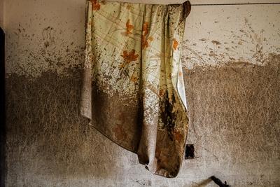 Região serrana, Rio de Janeiro, janeiro de 2011