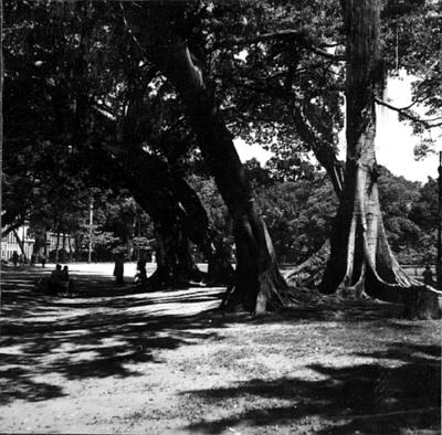 Panoramas, Campo de Santana