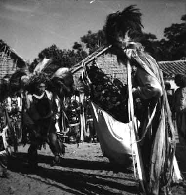 Bumba meu boi, festa popular