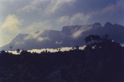 Pico da Neblina visto de Maturacá