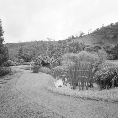 Residência de Carlos Somlo, projeto paisagístico de Burle Marx
