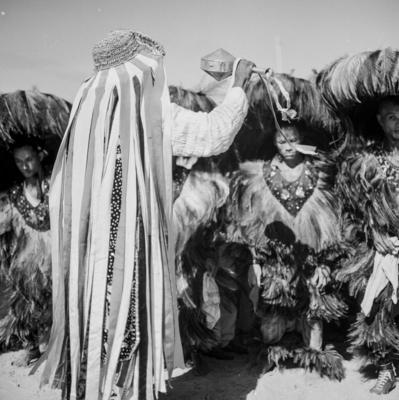 Bumba meu boi, festa popular