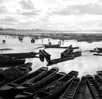 Cena do Rio São Francisco