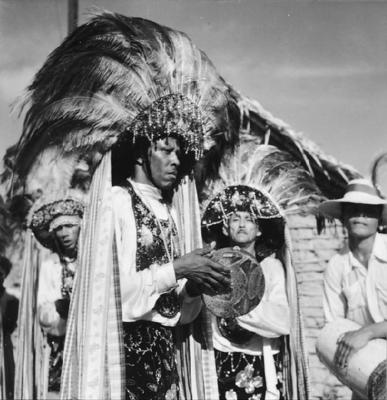 Bumba meu boi, festa popular