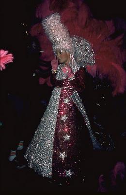 Série Carnaval - Integrantes de escolas de samba